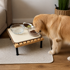 DogBedHouse Fixed-Height Ergonomic Plastic Feeding Stand