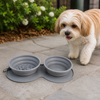 DogBedHouse Foldable Silicone Anti-Slip Travel Bowl