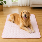 DogBedHouse Ice-Cool Contact-Activated Pet Mat