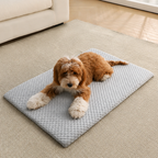 DogBedHouse Ice Silk Cooling & Non-Slip Pet Mat