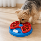 DogBedHouse Interactive Multi-Layer & Non-Slip Slow Feeder Bowl