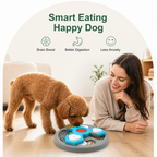 DogBedHouse Interactive Multi-Layer & Non-Slip Slow Feeder Bowl