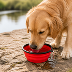 DogBedHouse Large Capacity Collapsible Travel Dog Bowl