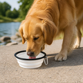DogBedHouse Large Capacity Collapsible Travel Dog Bowl