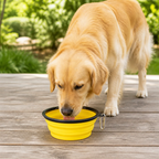 DogBedHouse Large Capacity Collapsible Travel Dog Bowl
