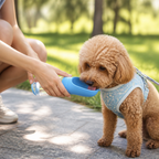 DogBedHouse Leak-Proof & Lightweight Dog Water Bottle (Food & Water Combo)