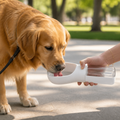 DogBedHouse Leak-Proof & Lightweight Dog Water Bottle (Food & Water Combo)