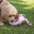 DogBedHouse Leak-Proof Stainless Steel Dog Water Bottle (Removable Bowl)