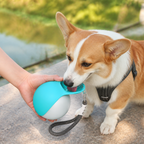 DogBedHouse Leak-Proof Stainless Steel Dog Water Bottle (Removable Bowl)