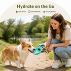 DogBedHouse Leak-Proof Stainless Steel & Silicone Travel Water Bottle