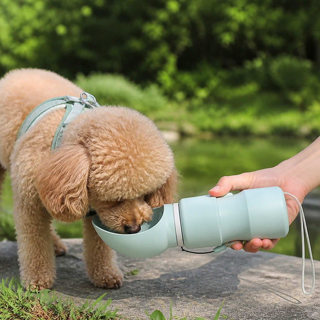 DogBedHouse Leakproof Foldable Food-Grade Silicone Dog Water Bottle