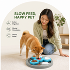 DogBedHouse Multi-Layer Puzzle & Anti-Slip Slow Feeder Bowl
