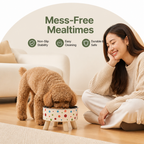 DogBedHouse Non-Slip & Anti-Tip Pet Bowl (Detachable Dish)