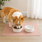 DogBedHouse Non-Slip & Waterproof Personalized Feeding Mat