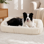 DogBedHouse Orthopedic High-Resilience Plush Dog Bed (Hand-Washable)