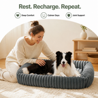 DogBedHouse Orthopedic High-Resilience Plush Dog Bed (Hand-Washable)