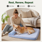 DogBedHouse Orthopedic Memory Foam & Breathable Waterproof Bolster Bed (Removable Cover)