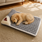 DogBedHouse Orthopedic Memory Foam Dog Bed (Removable Machine-Washable Cover)