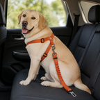 DogBedHouse Reflective & Adjustable Car Seat Leash (Quick-Release)