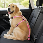 DogBedHouse Reflective & Adjustable Car Seat Leash (Quick-Release)