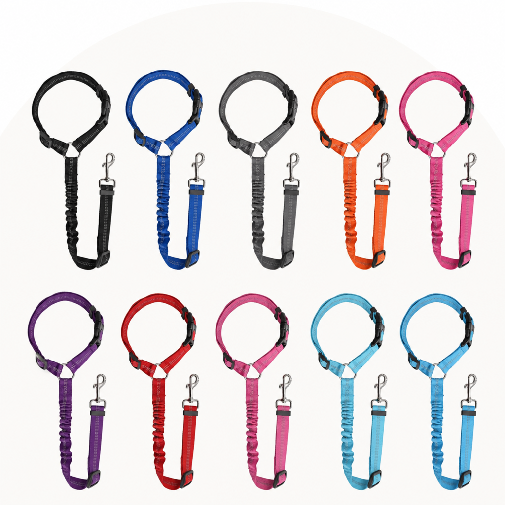 DogBedHouse Reflective & Adjustable Car Seat Leash (Quick-Release)