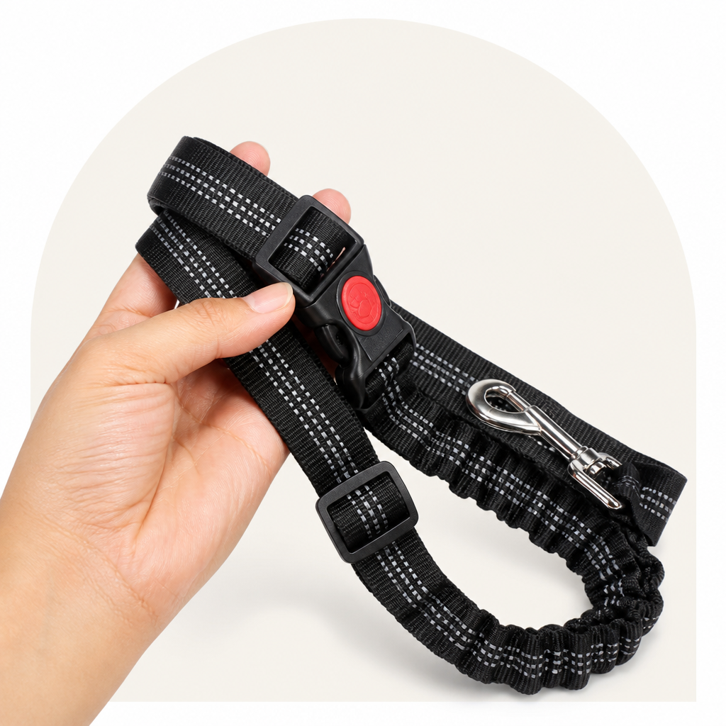 DogBedHouse Reflective & Adjustable Nylon Car Seat Belt (2-in-1)