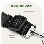 DogBedHouse Reflective Elastic Shock-Absorbing Car Seat Tether