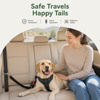 DogBedHouse Reflective Elastic Shock-Absorbing Car Seat Tether
