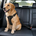 DogBedHouse Reflective Elastic Shock-Absorbing Car Seat Tether