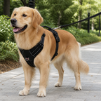 DogBedHouse Reflective & Waterproof Tactical Dog Harness