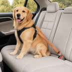 DogBedHouse Retractable Heavy-Duty Nylon Dog Seat Belt