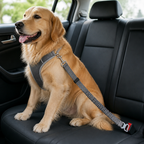 DogBedHouse Retractable Heavy-Duty Nylon Dog Seat Belt