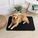 DogBedHouse Reusable Absorbent Waterproof Dog Pee Pad