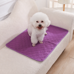 DogBedHouse Reusable Absorbent Waterproof Dog Pee Pad