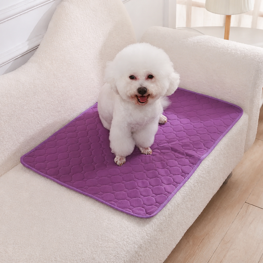 DogBedHouse Reusable Absorbent Waterproof Dog Pee Pad