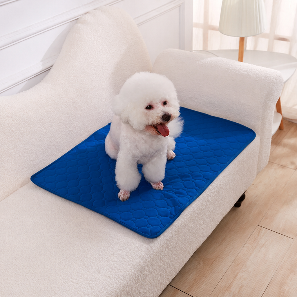 DogBedHouse Reusable Absorbent Waterproof Dog Pee Pad