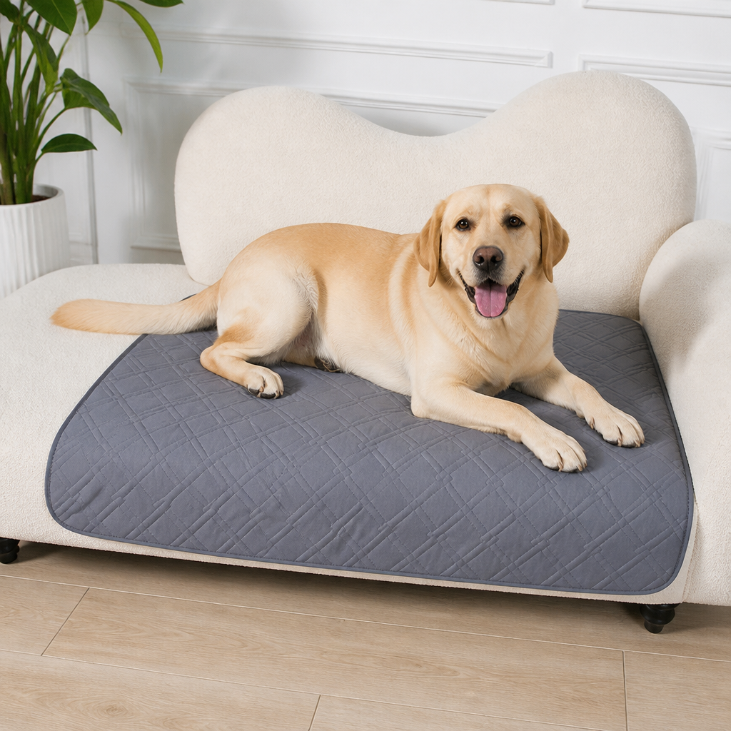 DogBedHouse Reusable Absorbent Waterproof Dog Pee Pad