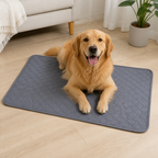 DogBedHouse Reusable Absorbent Waterproof Dog Pee Pad