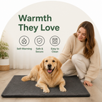 DogBedHouse Self-Warming Lambswool Non-Slip Pet Mat