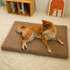 DogBedHouse Short Plush & High-Elastic Wave Sponge Dog Bed (Removable Washable Cover)