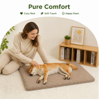 DogBedHouse Short Plush & High-Elastic Wave Sponge Dog Bed (Removable Washable Cover)