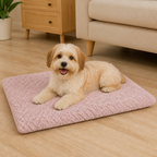 DogBedHouse Short Plush & High-Elastic Wave Sponge Dog Bed (Removable Washable Cover)