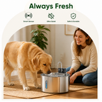DogBedHouse Stainless Steel Sensor-Activated & Wireless Rechargeable Pet Fountain