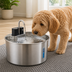 DogBedHouse Stainless Steel Sensor-Activated & Wireless Rechargeable Pet Fountain