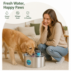 DogBedHouse Stainless Steel USB Rechargeable Sensor Pet Fountain