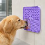 DogBedHouse Suction-Cup Slow Feeder Lick Mat