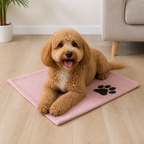 DogBedHouse Super Absorbent Quick-Dry Microfiber Pet Towel
