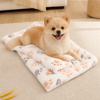 DogBedHouse Thermal Plush Coral Fleece Pet Blanket
