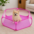 DogBedHouse Transparent Foldable Pet Playpen (Chemical-Free Cotton)