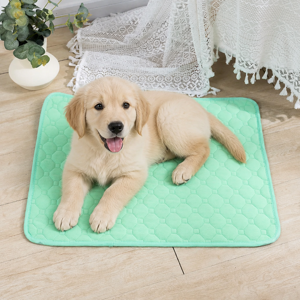 DogBedHouse Ultra Absorbent Quilted Pet Mat (Non-Slip Backing)
